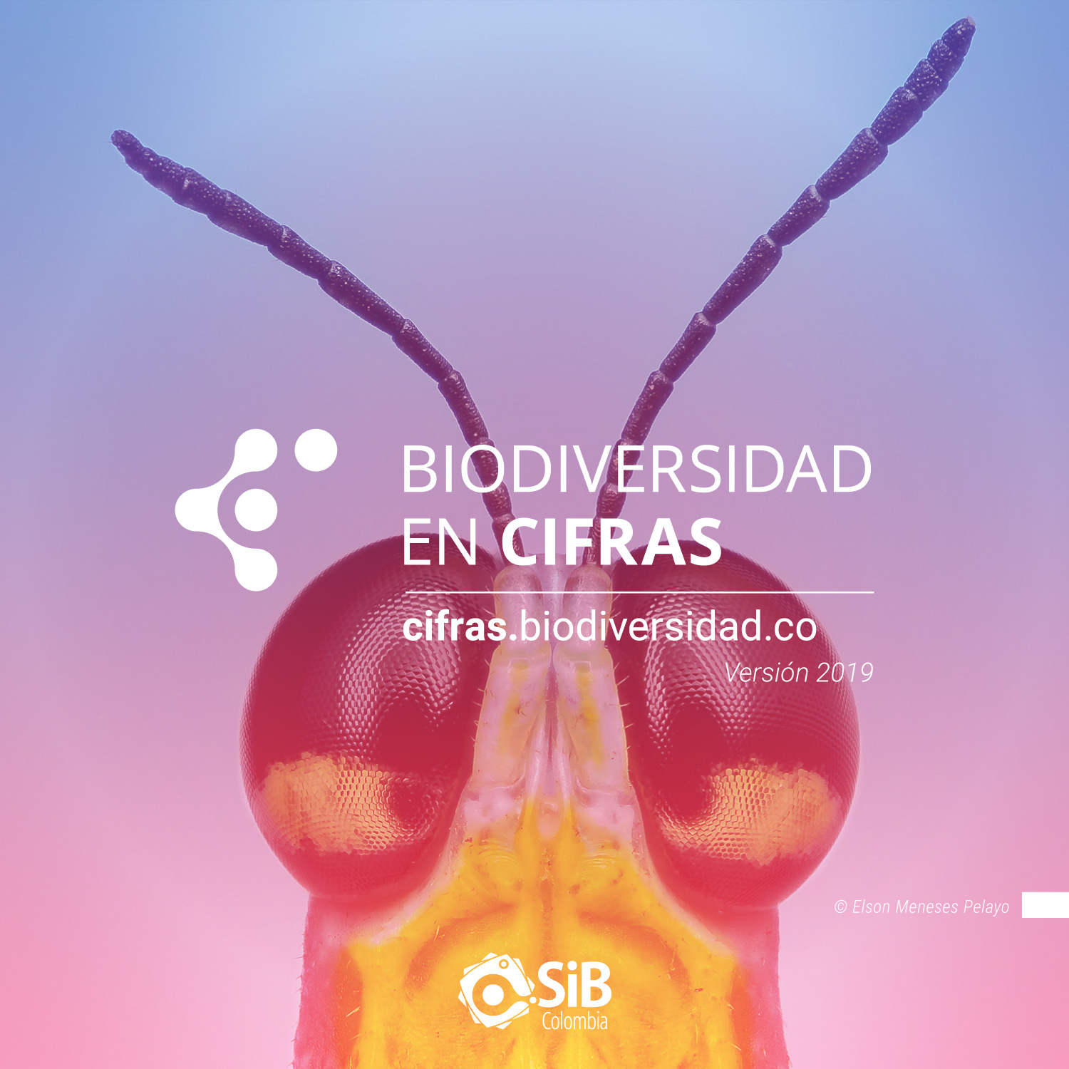 SiB Colombia